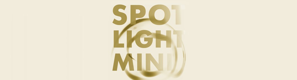 Spotlight-Mini
