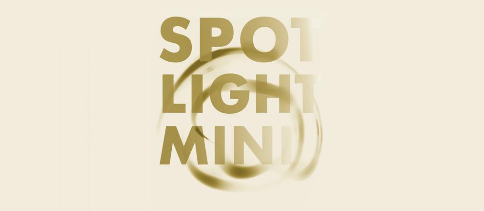 Spotlight-Mini