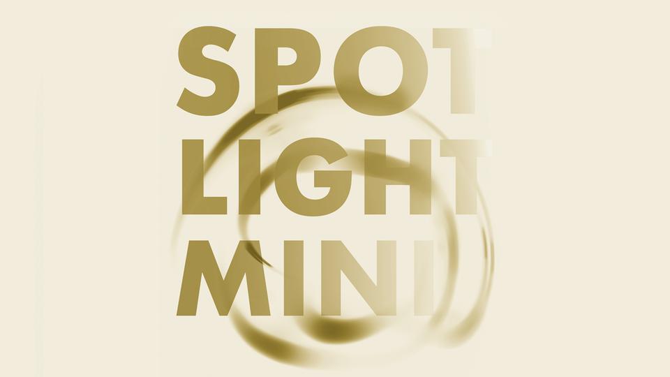 Spotlight-Mini