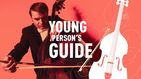 Young Person's Guide - Ioan Cristian Braica